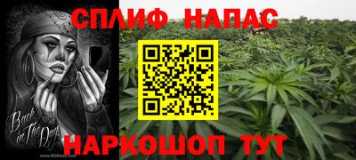 гашик Сафоново